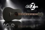 گیتار آکوستیک شزن مدل AG-D