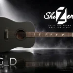 گیتار آکوستیک شزن مدل AG-D