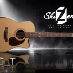 گیتار آکوستیک شزن مدل AG-T
